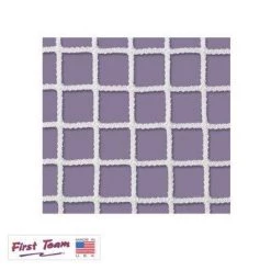First Team FT610N Lacrosse Net