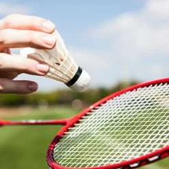 Champion Sports TOURNAMENT SERIES VOLLEYBALL/BADMINTON SET