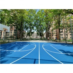 Home Court Hoops Basketball Accessories Indoor Or Outdoor Basketball Court Painting - LOCAL SERVICE (NY, NJ, AUSTIN, TX)