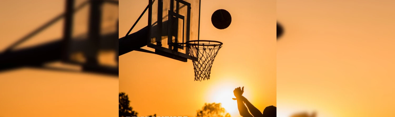 Backyard Sports Sales -Backyard Sports Sales ball.2